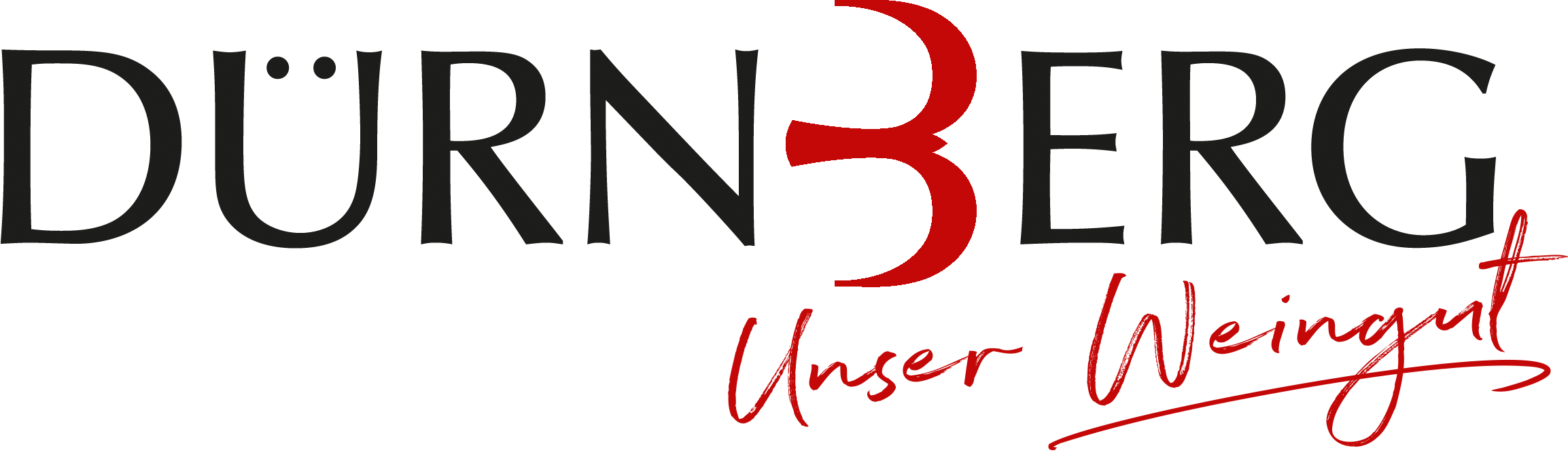 DB Logo V RGB