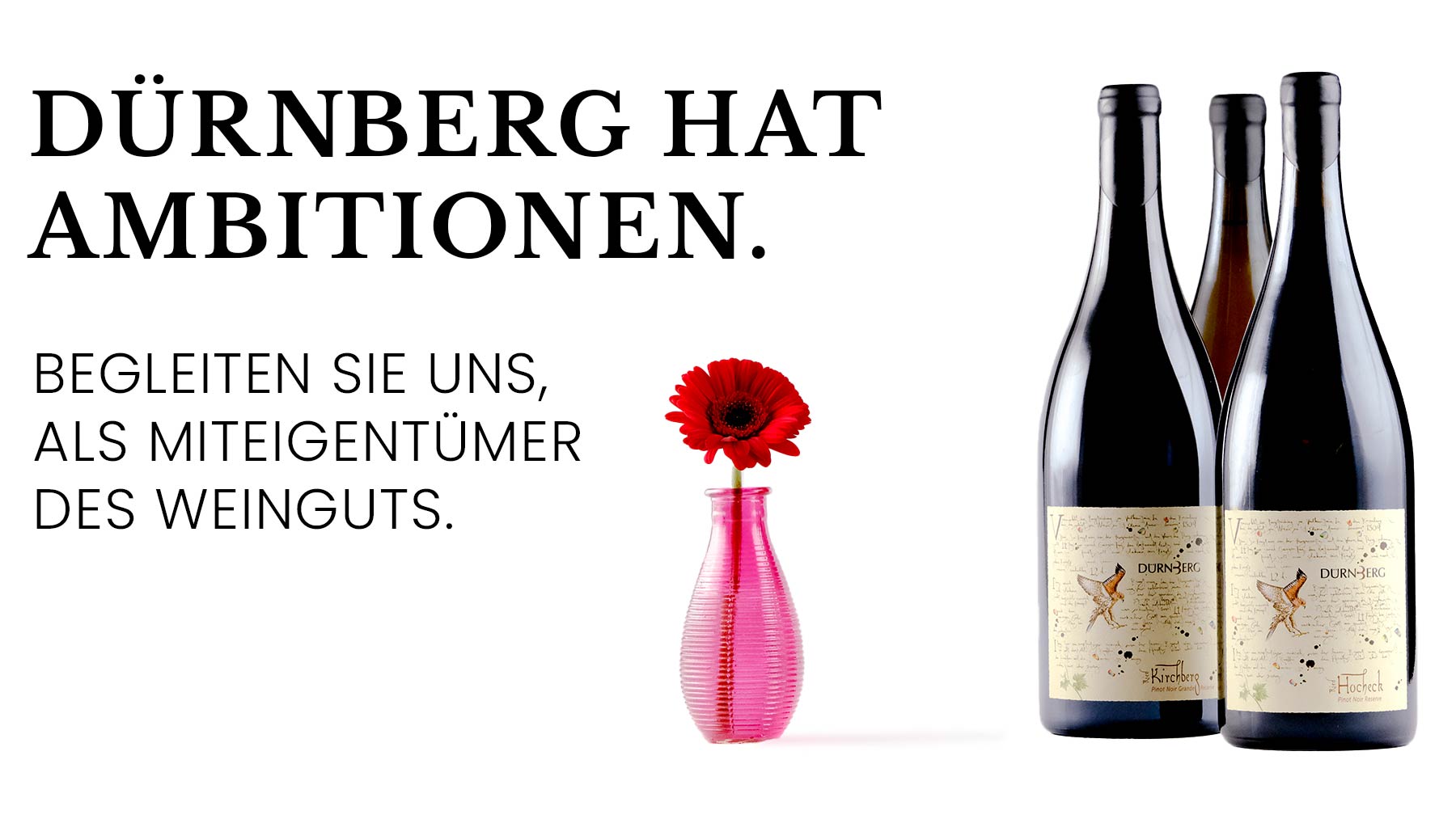 hat-Ambitionen