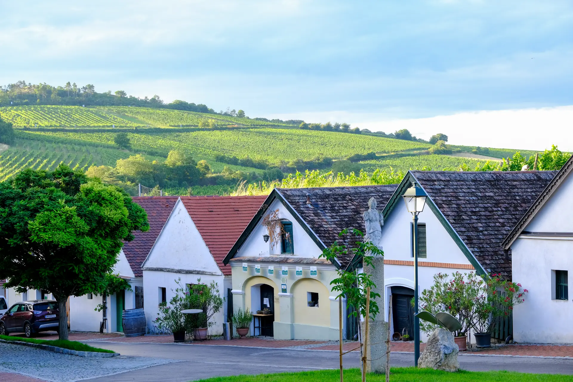 ABD4755B-143B-4CD1-8671-F8CB5E5BF3A1