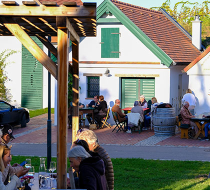 Weintour Weinviertel Pic 3