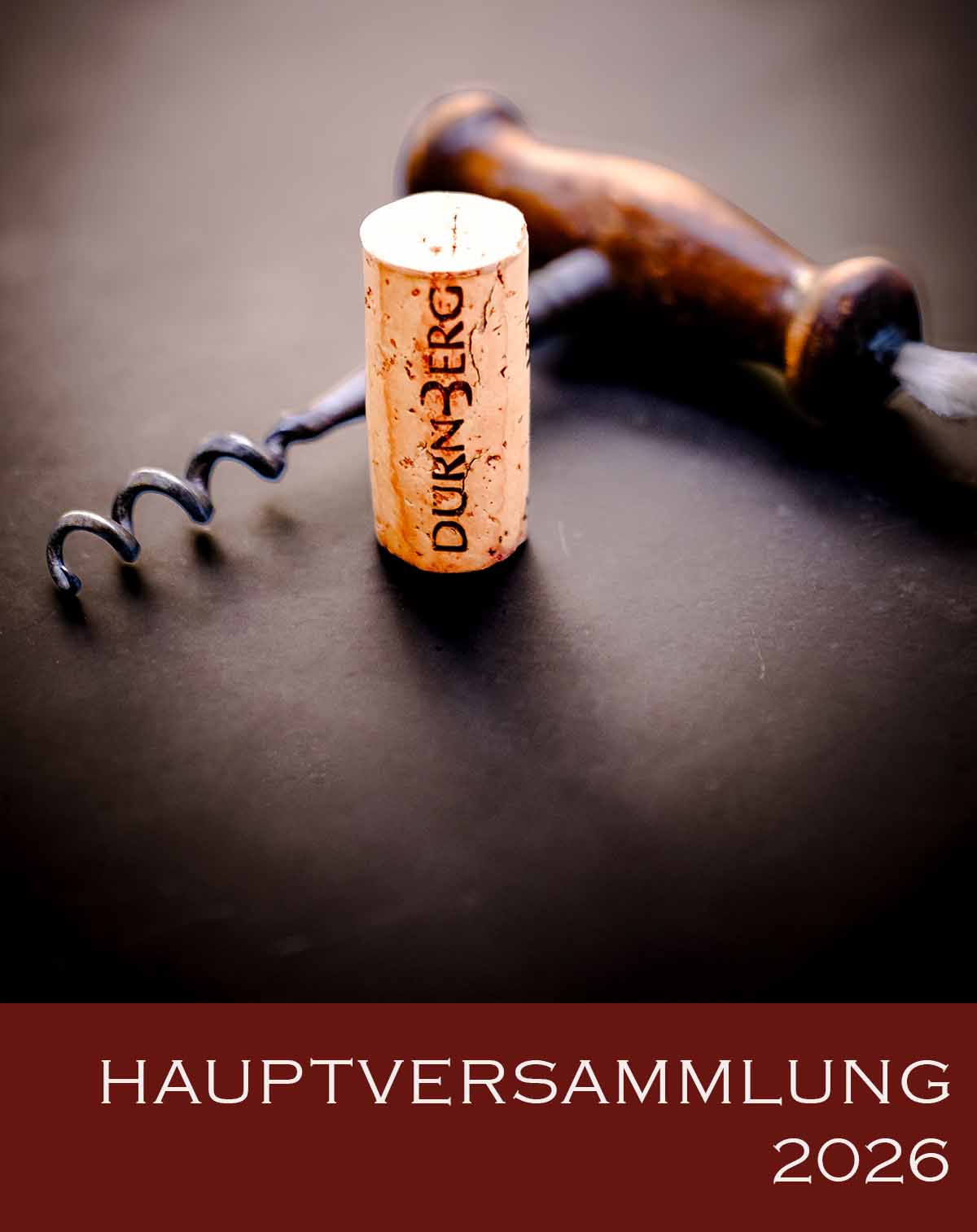 Titelbild HV mobile 2026-2